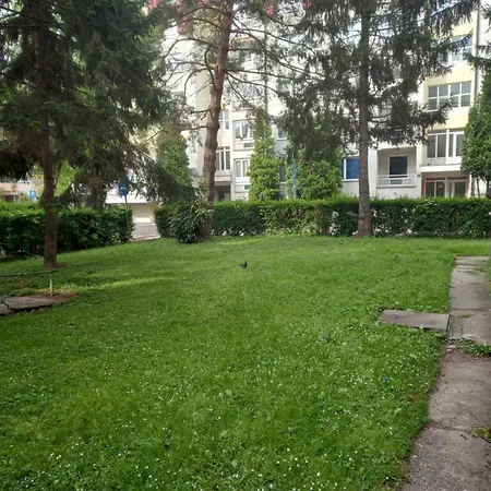 Ajsa Apartment